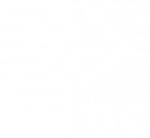 Saltic